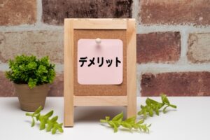 気になるデメリットと購入前に知っておきたいこと