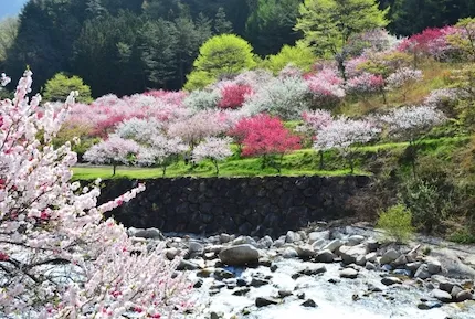 アイキャッチ 1