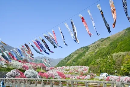 花桃って桃の種類？　花桃まつりっていつあるの？