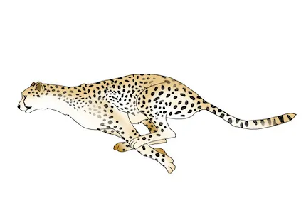 「疾風の如く」の意味は?