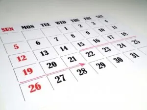 SHEINの配送ガイド:注文から到着までの期間と配送時オプション