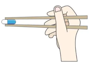 「摂る」の意味と使い方