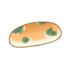 カビ
