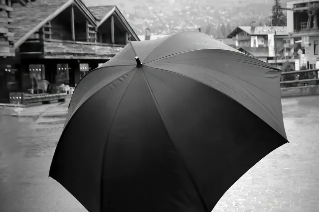 黒い深張りの傘