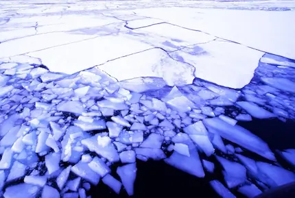 流氷クルーズと氷瀑まつりの贅沢ツアー