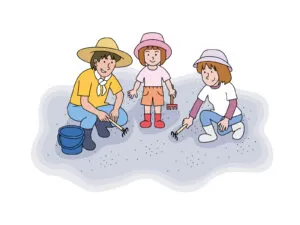 潮干狩りにおすすめの場所は？初心者でも安心のスポット選び