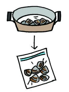 採ったアサリはどうする？持ち帰り・保存・レシピ