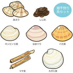 家族で楽しむ潮干狩り｜親子での過ごし方や工夫